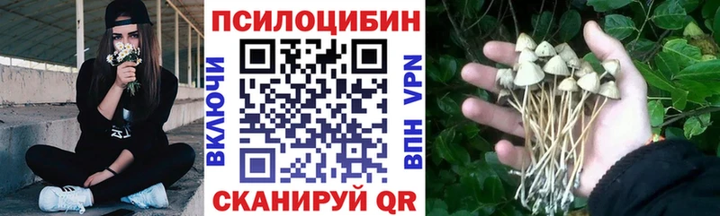 Галлюциногенные грибы мицелий  магазин продажи наркотиков  Пятигорск 